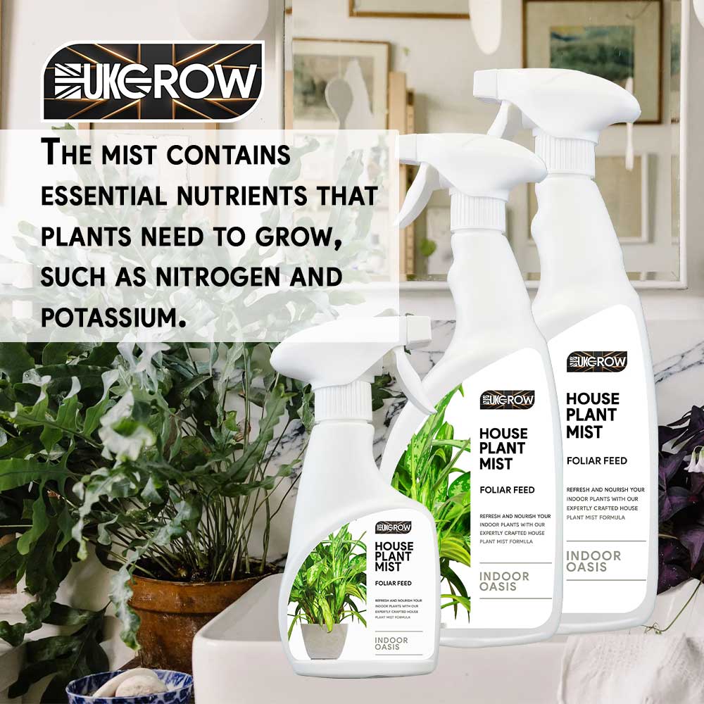 House Plant Mist: The Ultimate Solution for Looking After Houseplants