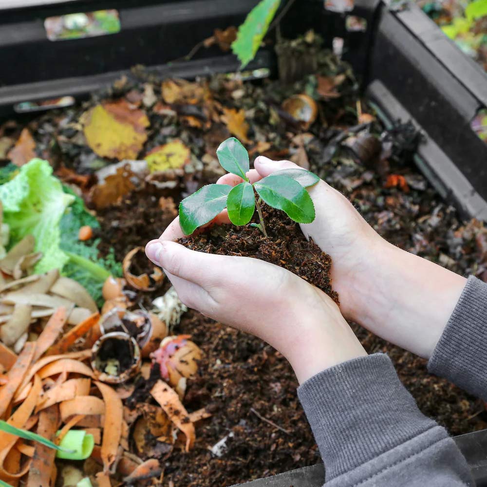 Unlock the Magic of Composting: Essential tips on composting for Every Gardener