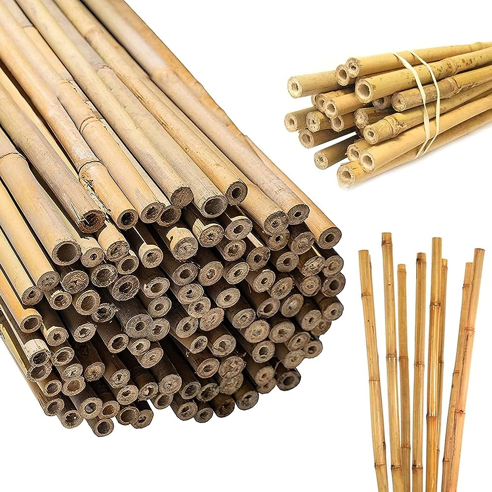 Bamboo Canes: The Unsung Heroes of Gardening