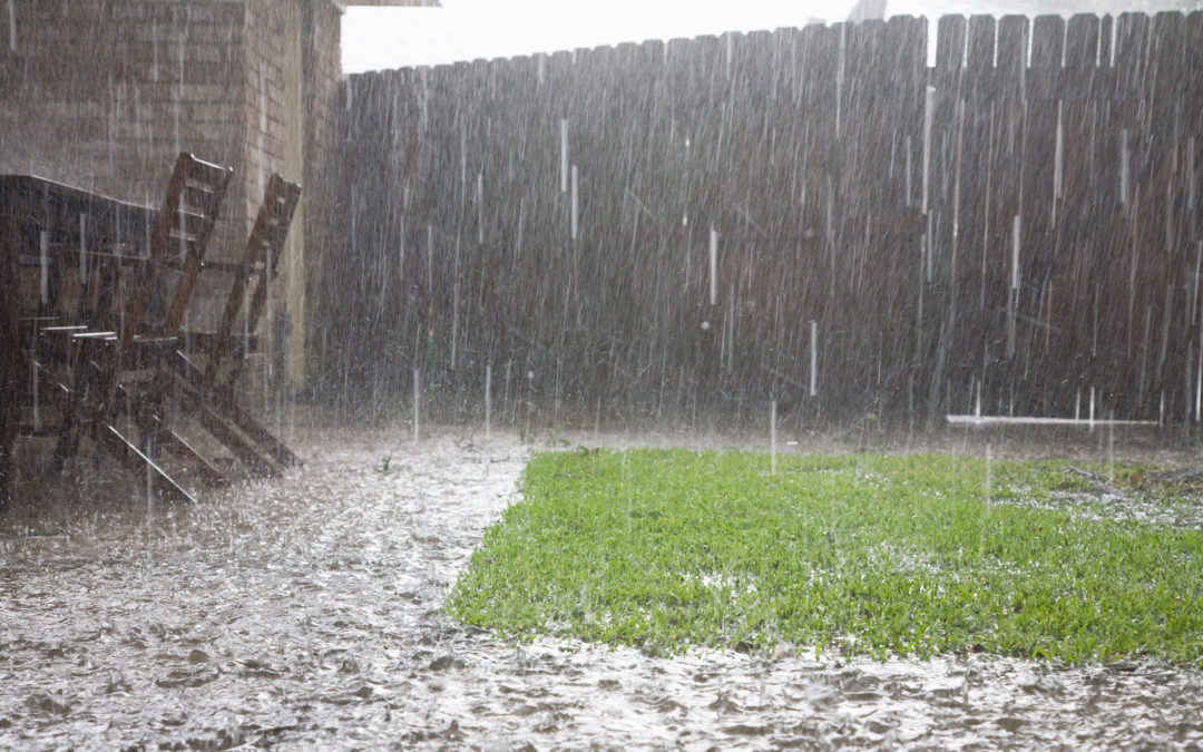 Dealing with Heavy Rain Downpours in Your Garden: A Comprehensive Guide