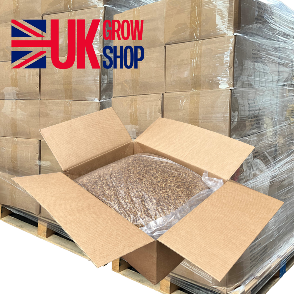 Unlocking the Future of Animal Feed: Why UKGrowShop’s Wholesale Mealworms are a Game-Changer